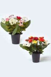 Homescapes Set of 2 Anemone Artificial Flowers in Grave Vases - thumbnail 1