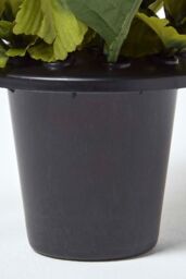 Homescapes Set of 2 Anemone Artificial Flowers in Grave Vases - thumbnail 6