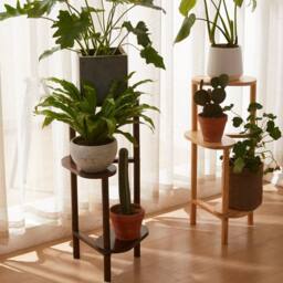 NESTLUNE Brown 3 Tier Bamboo Plant Stand Corner Plant - Size: 100 cm x 15 cm - thumbnail 3
