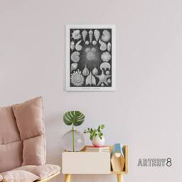 "Artery8 Forams Vintage Illustration Haeckel Botanical Canvas Wall Art in Black - Size: W24"" x H32""" - thumbnail 3