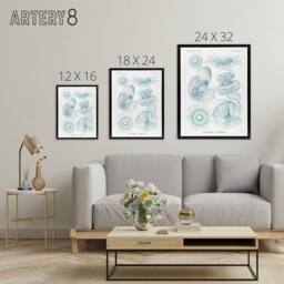"Artery8 Aequoreidae Jellyfish Marine Life Species Haeckel Framed Canvas Art in White - Size: W12"" x H16""" - thumbnail 4