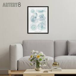 "Artery8 Aequoreidae Jellyfish Marine Life Species Haeckel Framed Canvas Art in White - Size: W12"" x H16""" - thumbnail 3