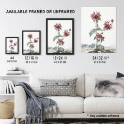 "Artery8 Red Bergamot Flowers in a Landscape Schouman Wall Art Poster Print in White - Size: W12"" x H16""" - thumbnail 3