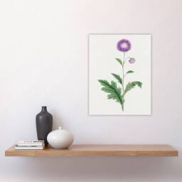 "Artery8 Thistle Flower Wall Art Print Vintage Japanese Botanical in Purple - Size: W24"" x H32""" - thumbnail 4