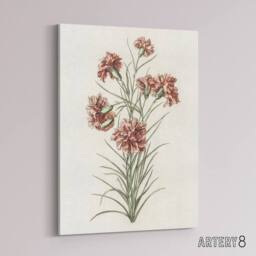 "Artery8 Six Carnations Vintage Illustration Teyler Canvas Wall Art in White - Size: W18"" x H24""" - thumbnail 2