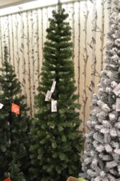 Samuel Alexander 7.5ft (2.2m) Green Spruce Pencil Pine Christmas Tree with Metal Stand - thumbnail 2