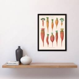 Artery8 Mangold Wurzels Field Beet Ernst Benary Framed Wall Art Print in White - Size: A4 - thumbnail 4