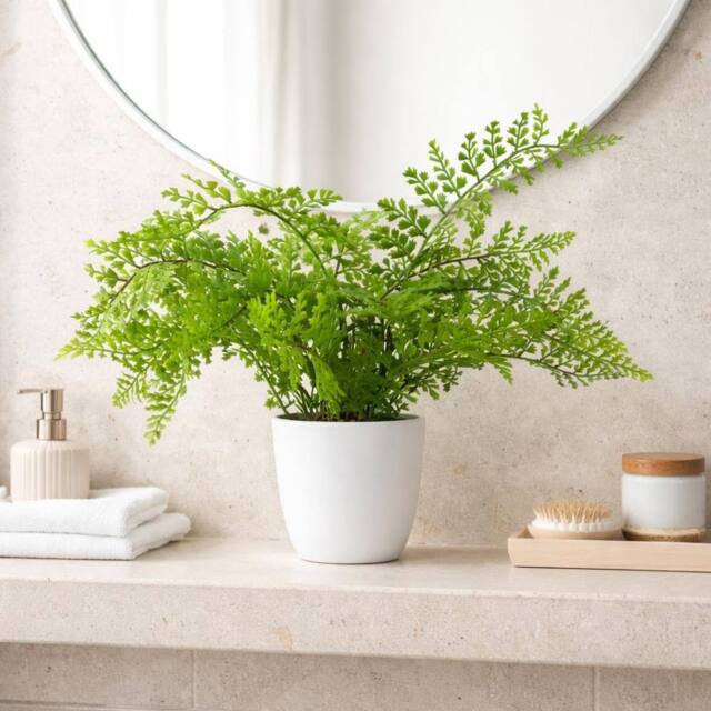 Leaf Artificial Potted Southern Wood Fern 30cm in Green - image 1