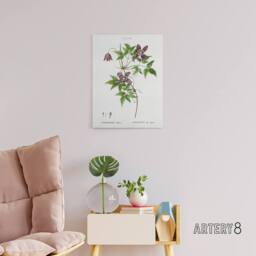 "Artery8 Alpine Clematis Flower Redoute Vintage Canvas Wall Art in White - Size: W18"" x H24""" - thumbnail 3