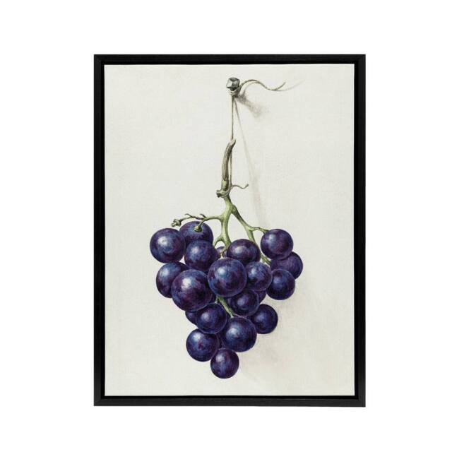 "Artery8 Bunch of Blue Grapes Oil Jean Bernard Vintage Framed Canvas Wall Art in White - Size: W24"" x H32""" - image 1