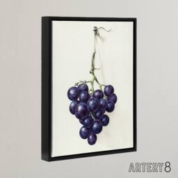 "Artery8 Bunch of Blue Grapes Oil Jean Bernard Vintage Framed Canvas Wall Art in White - Size: W24"" x H32""" - thumbnail 2