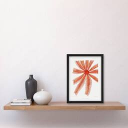 Artery8 Vintage Marine Life Brisingida Starfish Illustration Framed Art Print in White - Size: A4 - thumbnail 2