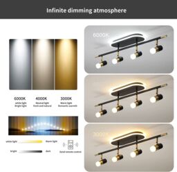 Garwarm 4-Light LED Dimmable Track Light in Black - thumbnail 2