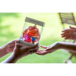 Sienna Glass 10cm Friendship Ball White - thumbnail 2