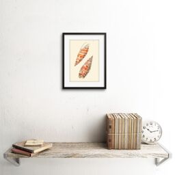 "Artery8 Wall Art Print Seashell Orange Spotted Conical Artwork Framed 9X7 Inch in Black - Size: W7"" x H9""" - thumbnail 2