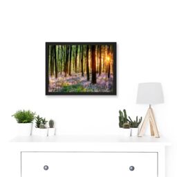 Artery8 Bluebell Wood Sunrise Trees Photo A4 Artwork Framed Wall Art Print in Black - thumbnail 2