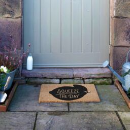 Artsy Mats Humorous Squeeze The Day Doormat in Black - Size: 40 cm x 60 cm - thumbnail 6