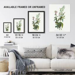 "Artery8 Green Black Capped Flycatcher Audubon Nature Wall Art Print Poster in White - Size: W24"" x H32""" - thumbnail 3