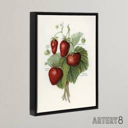 "Artery8 Vintage Fruit Illustration of Strawberries Wright Framed Canvas Art in White - Size: W24"" x H32""" - thumbnail 2