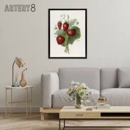"Artery8 Vintage Fruit Illustration of Strawberries Wright Framed Canvas Art in White - Size: W24"" x H32""" - thumbnail 3