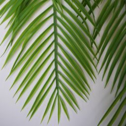 Leaf Pack of 12 x 120cm Artificial Hanging Palm Leaves Plant in Green - Size: 12 x 120 cm - thumbnail 3