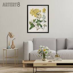 "Artery8 New Zealand Brachyglottis Daisy Flowers Featon Framed Canvas Wall Art in Beige - Size: W12"" x H16""" - thumbnail 3