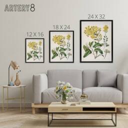 "Artery8 New Zealand Brachyglottis Daisy Flowers Featon Framed Canvas Wall Art in Beige - Size: W12"" x H16""" - thumbnail 4