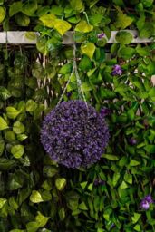 Marco Paul Artificial Topiary Ball Hanging Fake Flowers Vivid Violet in Purple - thumbnail 8