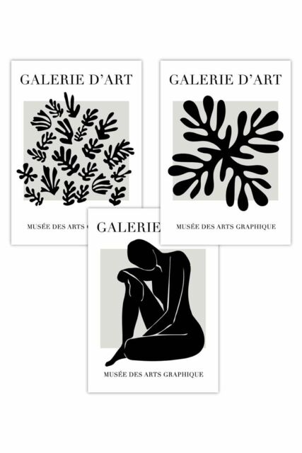 ARTZE Set of 3 Matisse Floral & Nude in Black & Beige Art Posters - Size: W50 cm x H70 cm - image 1