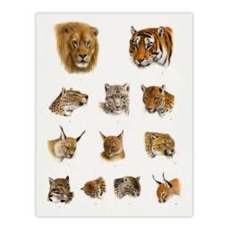 "Artery8 Wild Animal Safari Big Cats Illustration Lydekker Wall Art Poster in White - Size: W18"" x H24""" - thumbnail 1