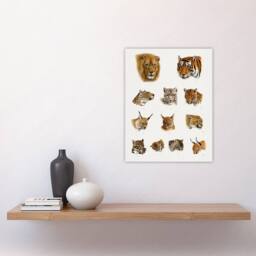 "Artery8 Wild Animal Safari Big Cats Illustration Lydekker Wall Art Poster in White - Size: W18"" x H24""" - thumbnail 4