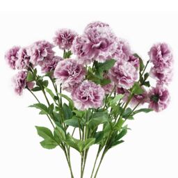 Pegdev Pack of 6 70cm Artificial Pink Carnation Stems with Silk Flowers - thumbnail 1
