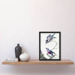 Artery8 Blue Jay & a Purple Breasted Cotinga Schouman Framed Wall Art Print in White - Size: A4 - thumbnail 4