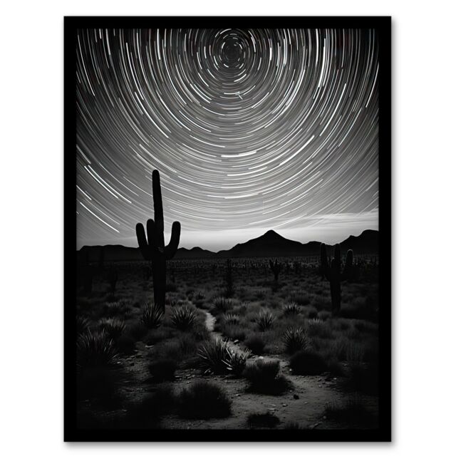 "Artery8 Wall Art Print Time Lapse Night Sky Star Trails Across The Night Sky Black White Desert Cactus Art Framed - Size: W12"" x H16""" - image 1