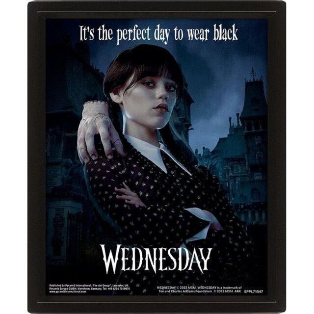 Wednesday It´s The Perfect Day To Wear Black 3D Poster - image 1