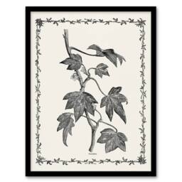 "Artery8 Vintage Botanical Pustulata Leaves Hibberd Framed Wall Art Print in White - Size: W12"" x H16""" - thumbnail 1