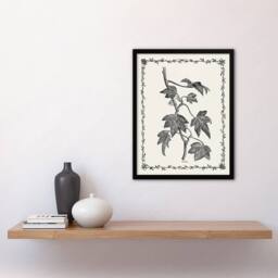 "Artery8 Vintage Botanical Pustulata Leaves Hibberd Framed Wall Art Print in White - Size: W12"" x H16""" - thumbnail 4