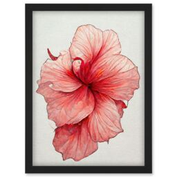 Artery8 Pink Hibiscus Flower Illustration Floral Pink Artwork Framed Wall Art Print A4 in Black - thumbnail 1