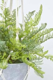 Homescapes Green Fern Hanging Plant, 95 cm - thumbnail 4