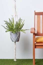 Homescapes Green Fern Hanging Plant, 95 cm - thumbnail 6