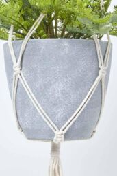 Homescapes Green Fern Hanging Plant, 95 cm - thumbnail 3