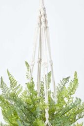 Homescapes Green Fern Hanging Plant, 95 cm - thumbnail 5