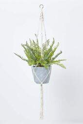 Homescapes Green Fern Hanging Plant, 95 cm - thumbnail 1