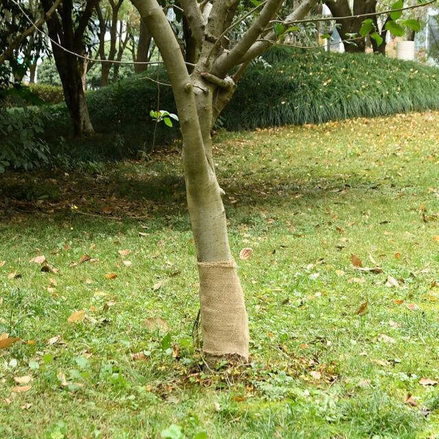 Berkfield Home Jute Roll 0.25x10 m 100% Jute 200 gsm - image 1
