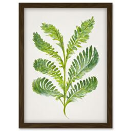 Artery8 Royal Fern Leaf Modern Watercolour Botanical Artwork Framed Wall Art Print A4 in Brown - thumbnail 1