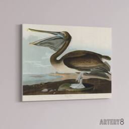 "Artery8 Audubon Birds Brown Pelican Painting Canvas Wall Art Print - Size: W18"" x H24""" - thumbnail 2