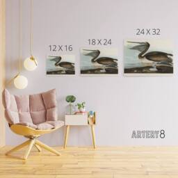 "Artery8 Audubon Birds Brown Pelican Painting Canvas Wall Art Print - Size: W18"" x H24""" - thumbnail 4