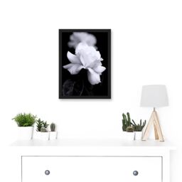 Artery8 Nature Black White Rose Petal Flower A4 Artwork Framed Wall Art Print - thumbnail 2