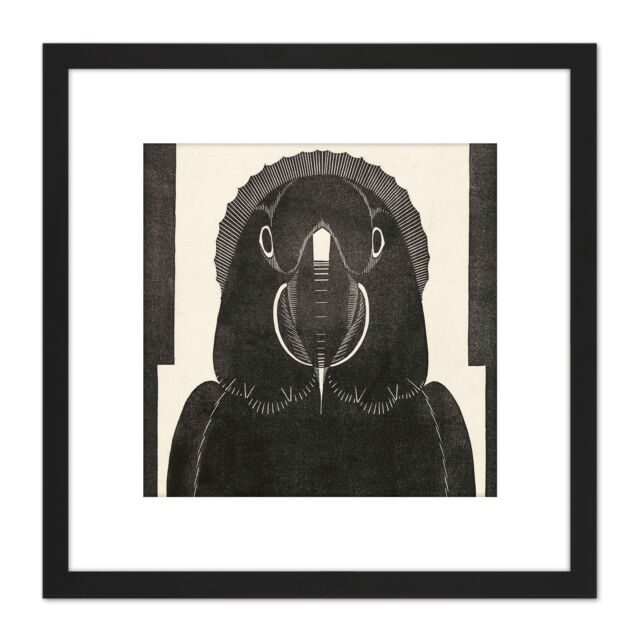 Artery8 Mesquita Macaw Parrot Bw Bird Design 8X8 Inch Square Wooden Framed Wall Art Print Picture with Mount in Black - image 1