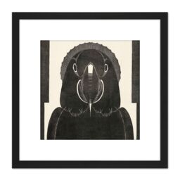 Artery8 Mesquita Macaw Parrot Bw Bird Design 8X8 Inch Square Wooden Framed Wall Art Print Picture with Mount in Black - thumbnail 1